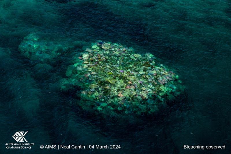 North Direction Island, Northern Great Barrier Reef. Image: Neal Cantin, AIMS.