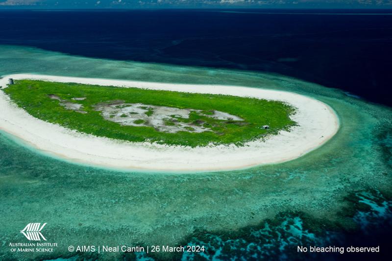 Raine Island, Northern Great Barrier Reef. Image: Neal Cantin, AIMS