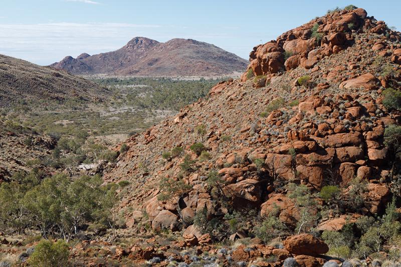Alalkanya Gorge, APY Land, South Australia.