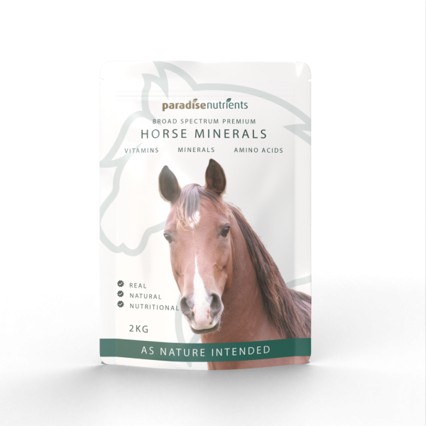 Paradise Nutrients horse minerals