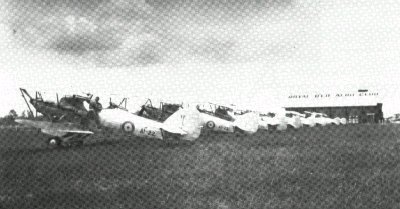 Hawker Demon fighters of the RAAF at Archerfield 1939.
